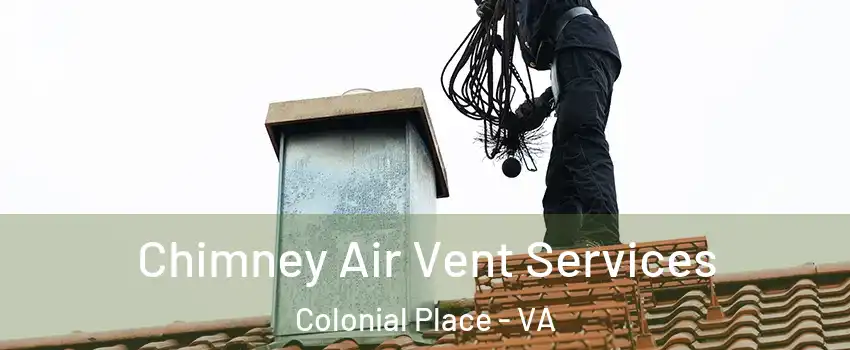 Chimney Air Vent Services Colonial Place - VA