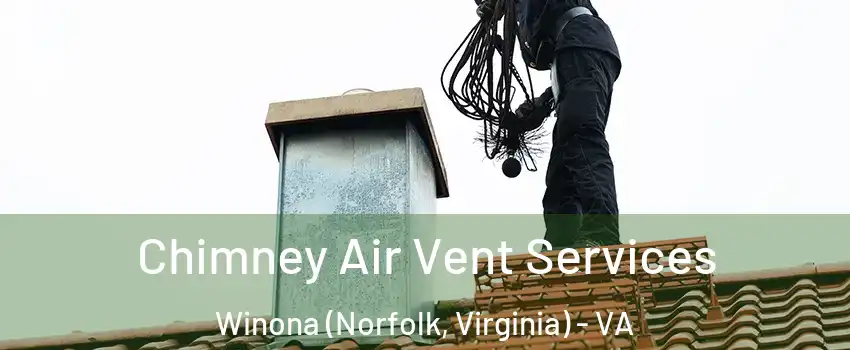 Chimney Air Vent Services Winona (Norfolk, Virginia) - VA