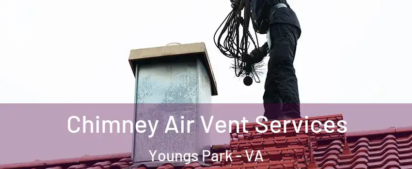 Chimney Air Vent Services Youngs Park - VA