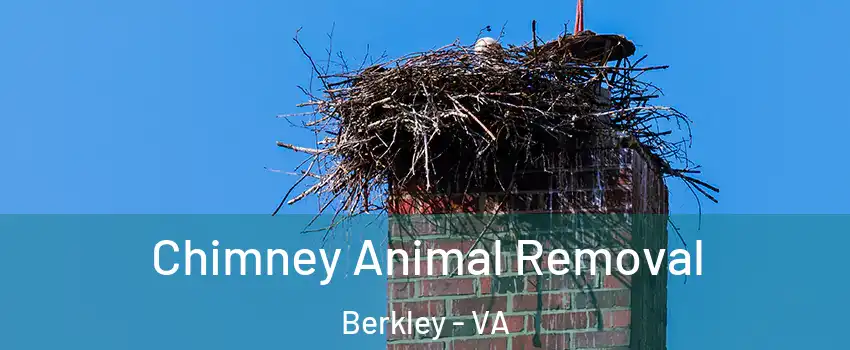 Chimney Animal Removal Berkley - VA