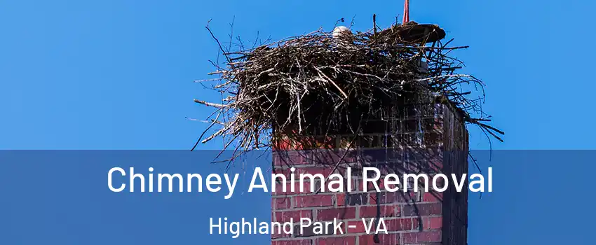Chimney Animal Removal Highland Park - VA
