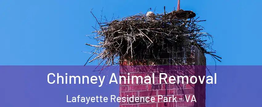 Chimney Animal Removal Lafayette Residence Park - VA