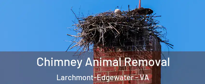 Chimney Animal Removal Larchmont-Edgewater - VA