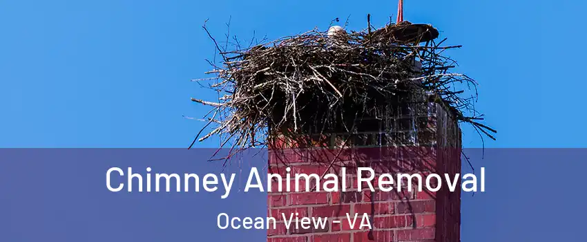 Chimney Animal Removal Ocean View - VA