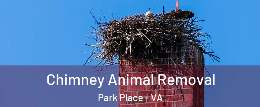 Chimney Animal Removal Park Place - VA