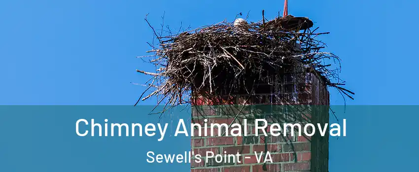 Chimney Animal Removal Sewell's Point - VA