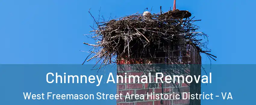 Chimney Animal Removal West Freemason Street Area Historic District - VA