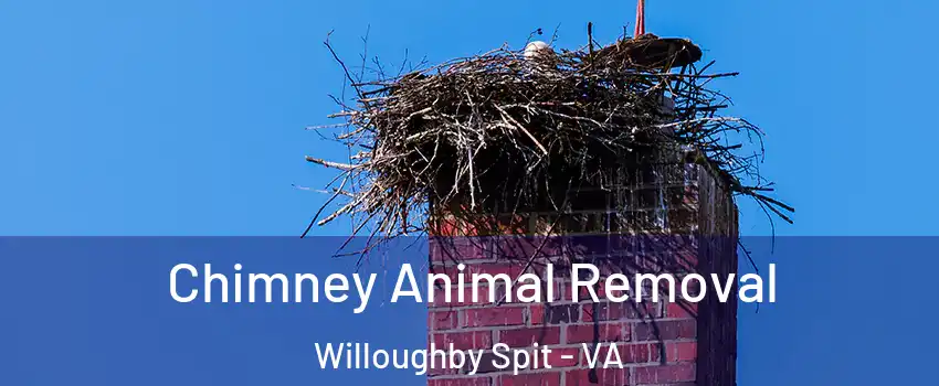 Chimney Animal Removal Willoughby Spit - VA