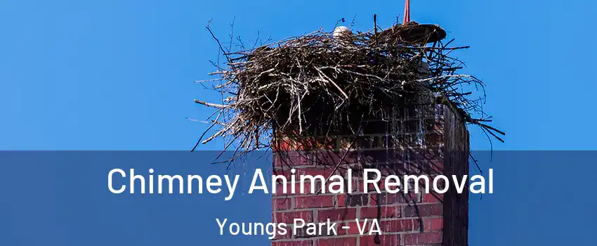 Chimney Animal Removal Youngs Park - VA