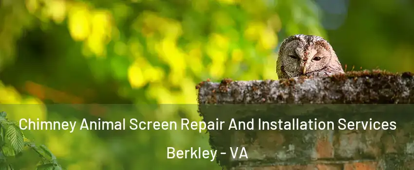 Chimney Animal Screen Repair And Installation Services Berkley - VA