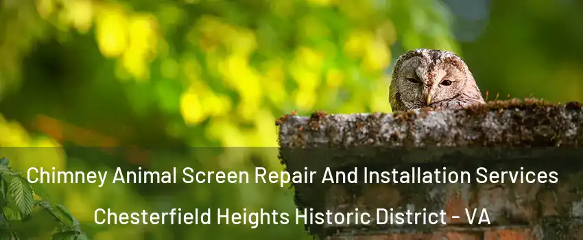 Chimney Animal Screen Repair And Installation Services Chesterfield Heights Historic District - VA