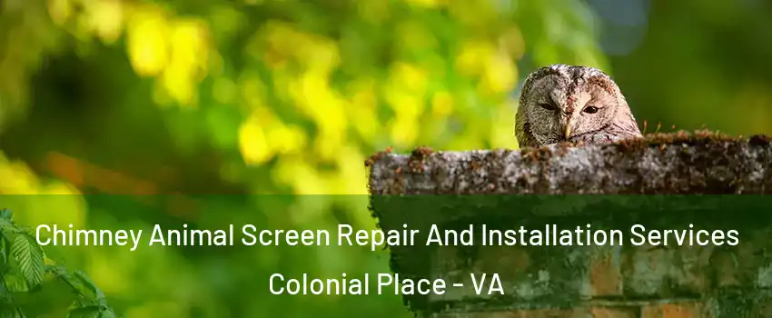 Chimney Animal Screen Repair And Installation Services Colonial Place - VA