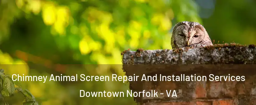Chimney Animal Screen Repair And Installation Services Downtown Norfolk - VA