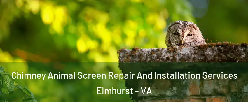 Chimney Animal Screen Repair And Installation Services Elmhurst - VA