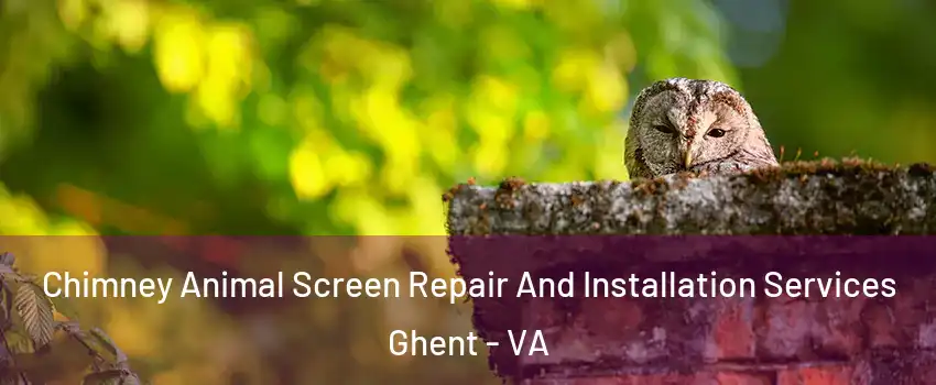 Chimney Animal Screen Repair And Installation Services Ghent - VA