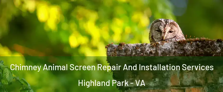 Chimney Animal Screen Repair And Installation Services Highland Park - VA