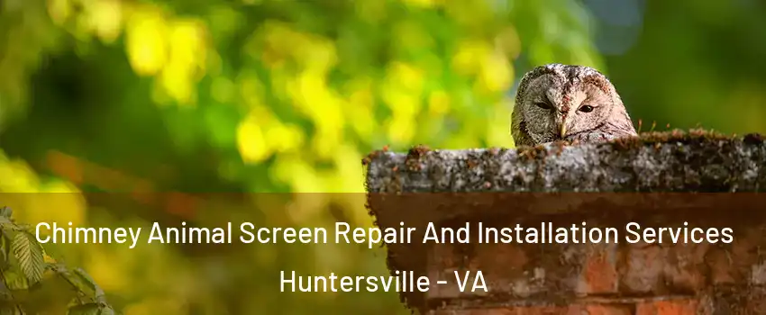 Chimney Animal Screen Repair And Installation Services Huntersville - VA
