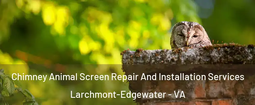 Chimney Animal Screen Repair And Installation Services Larchmont-Edgewater - VA