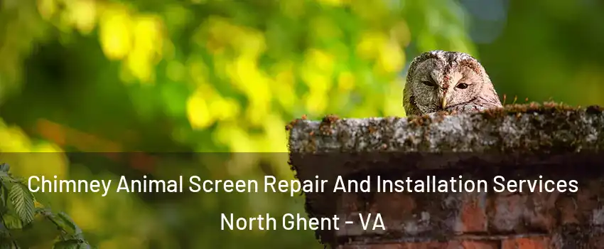 Chimney Animal Screen Repair And Installation Services North Ghent - VA
