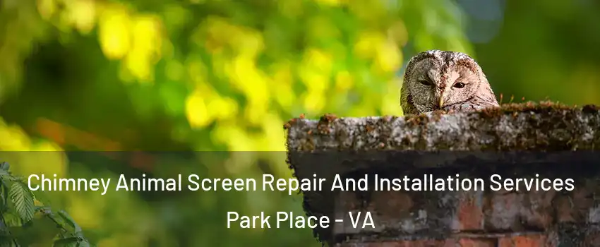 Chimney Animal Screen Repair And Installation Services Park Place - VA