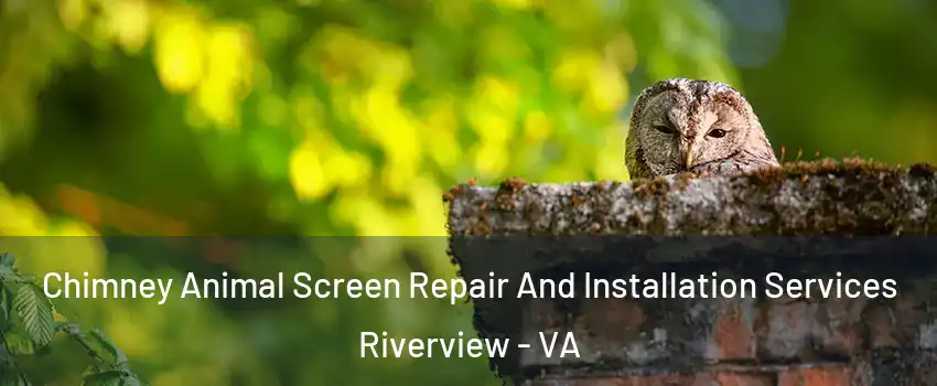 Chimney Animal Screen Repair And Installation Services Riverview - VA