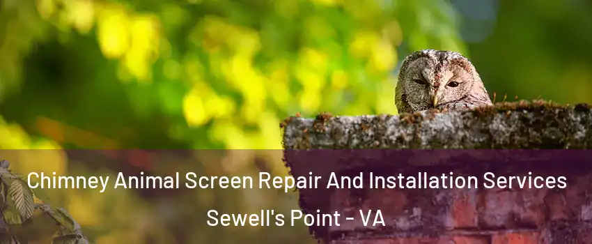 Chimney Animal Screen Repair And Installation Services Sewell's Point - VA