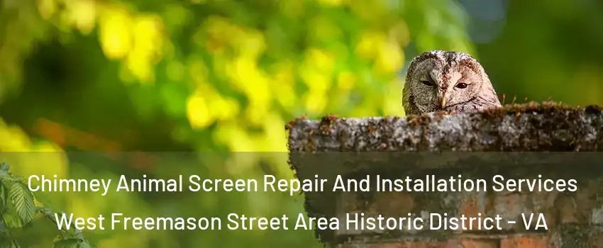 Chimney Animal Screen Repair And Installation Services West Freemason Street Area Historic District - VA
