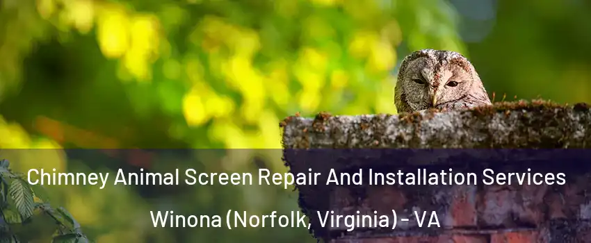 Chimney Animal Screen Repair And Installation Services Winona (Norfolk, Virginia) - VA