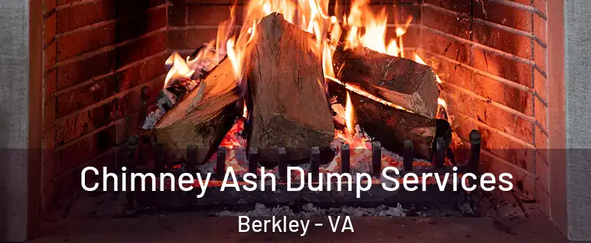 Chimney Ash Dump Services Berkley - VA