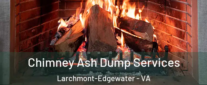 Chimney Ash Dump Services Larchmont-Edgewater - VA