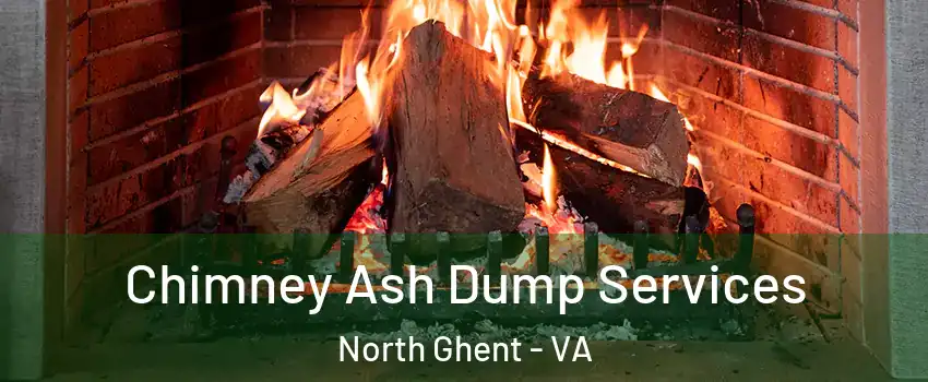 Chimney Ash Dump Services North Ghent - VA