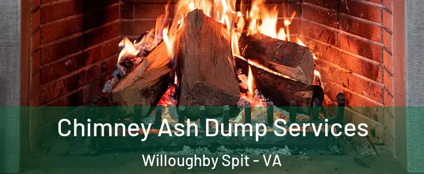 Chimney Ash Dump Services Willoughby Spit - VA