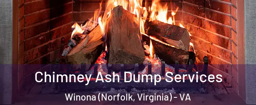 Chimney Ash Dump Services Winona (Norfolk, Virginia) - VA