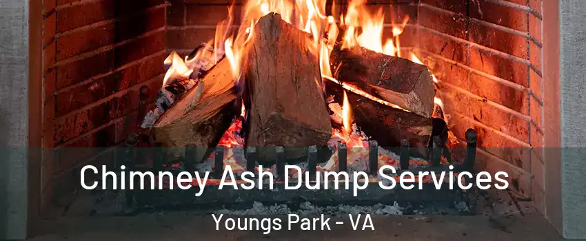 Chimney Ash Dump Services Youngs Park - VA