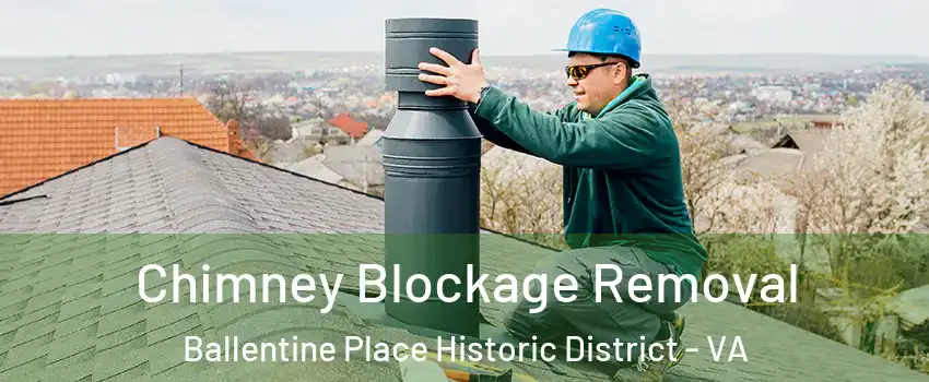 Chimney Blockage Removal Ballentine Place Historic District - VA