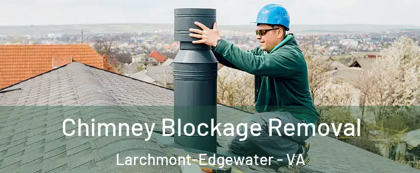 Chimney Blockage Removal Larchmont-Edgewater - VA