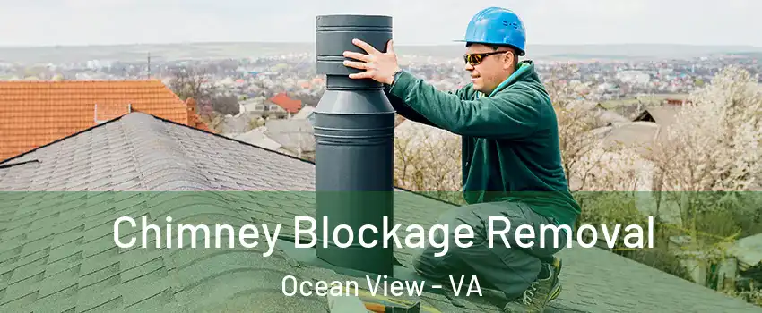 Chimney Blockage Removal Ocean View - VA