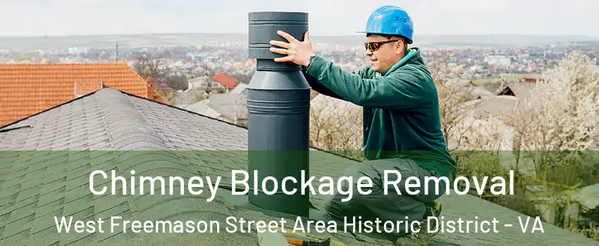 Chimney Blockage Removal West Freemason Street Area Historic District - VA