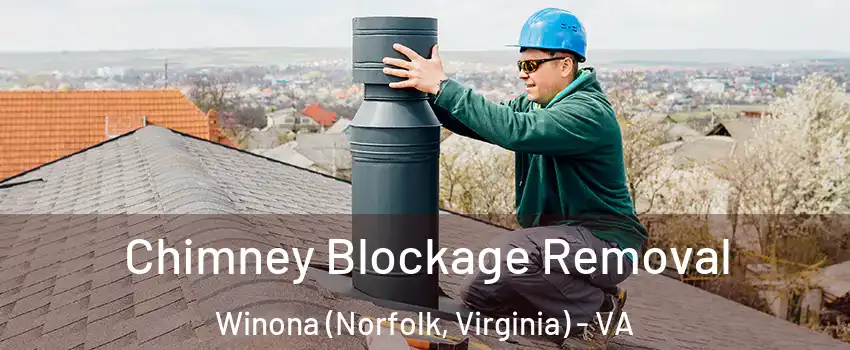 Chimney Blockage Removal Winona (Norfolk, Virginia) - VA