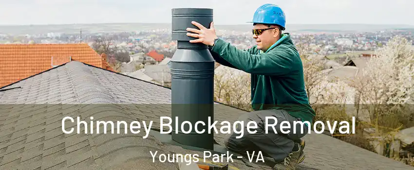 Chimney Blockage Removal Youngs Park - VA