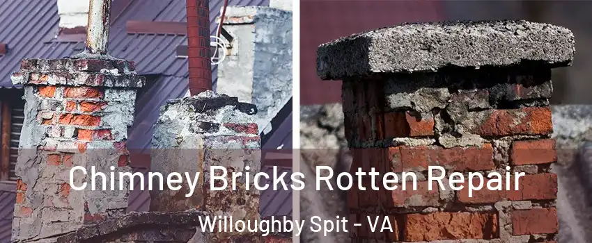 Chimney Bricks Rotten Repair Willoughby Spit - VA