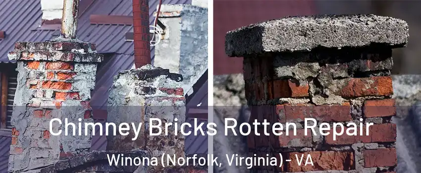 Chimney Bricks Rotten Repair Winona (Norfolk, Virginia) - VA