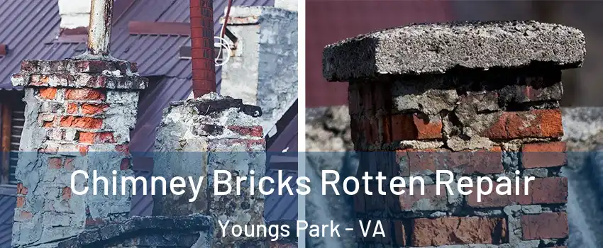 Chimney Bricks Rotten Repair Youngs Park - VA
