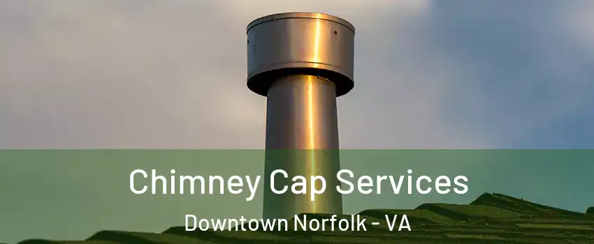 Chimney Cap Services Downtown Norfolk - VA