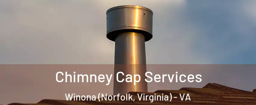 Chimney Cap Services Winona (Norfolk, Virginia) - VA