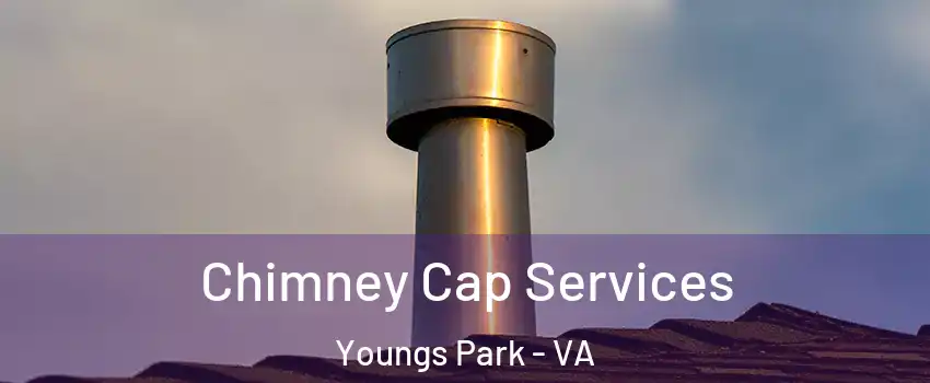 Chimney Cap Services Youngs Park - VA