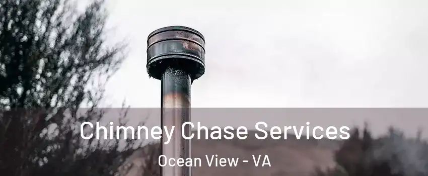 Chimney Chase Services Ocean View - VA
