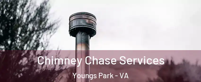 Chimney Chase Services Youngs Park - VA