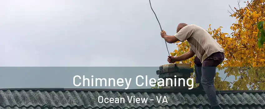 Chimney Cleaning Ocean View - VA