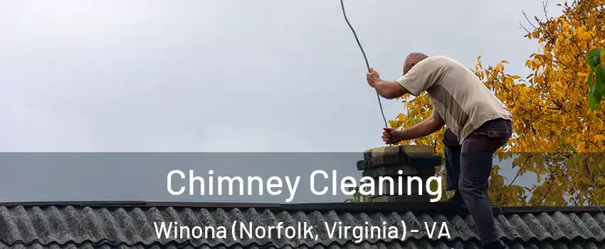 Chimney Cleaning Winona (Norfolk, Virginia) - VA
